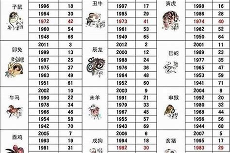 49属什么|49岁属什么？